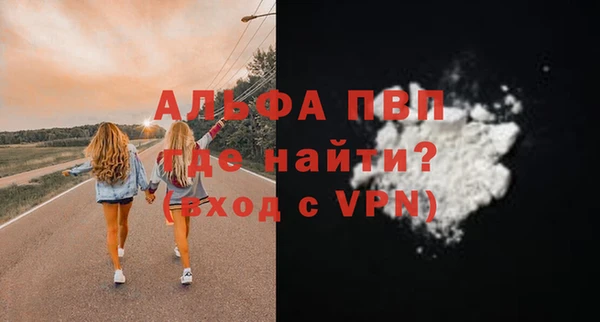 прущие грибы Горнозаводск