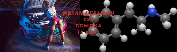 прущие грибы Горнозаводск