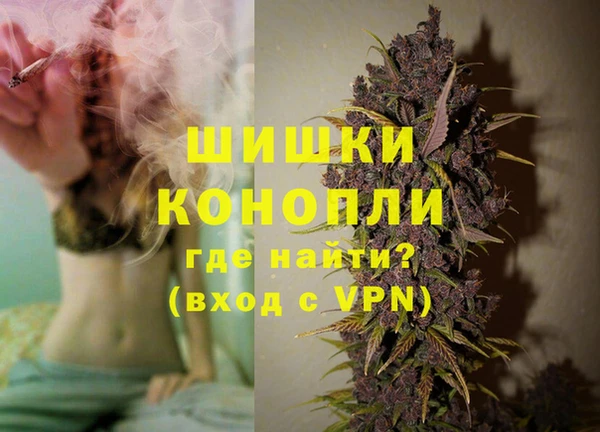 прущие грибы Горнозаводск