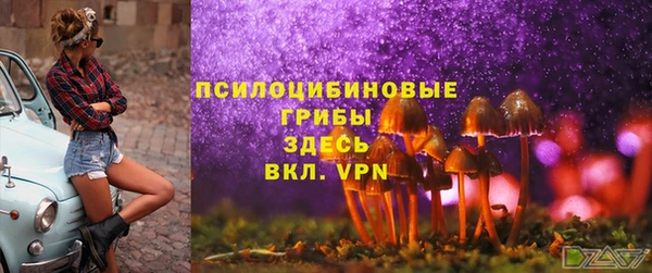 прущие грибы Горнозаводск