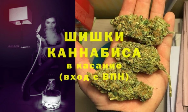 прущие грибы Горнозаводск