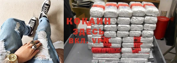прущие грибы Горнозаводск