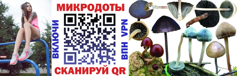 Псилоцибиновые грибы ЛСД Петушки